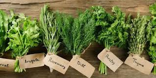 Herbciepscam