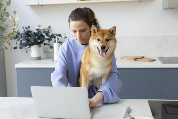 When Will We Really Get the Doge Stimulus Check