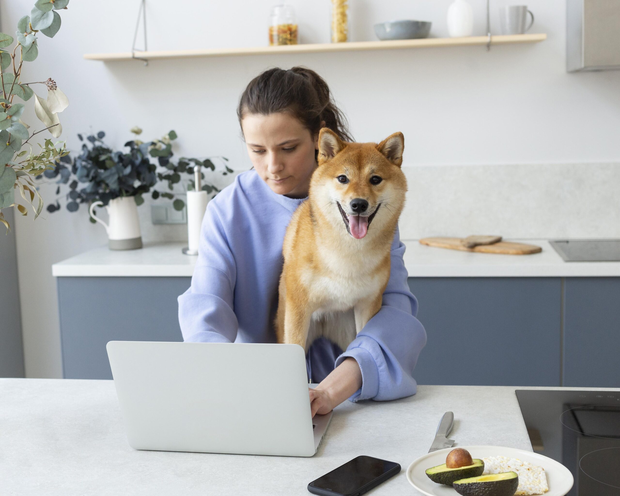 When Will We Really Get the Doge Stimulus Check